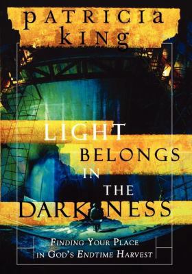 The Light Belongs in the Darkness : Finding You... B007CT1L46 Book Cover
