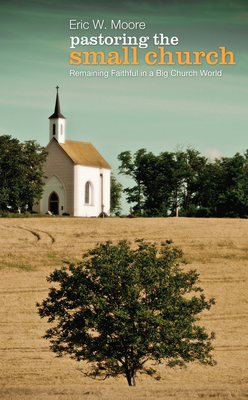 Pastoring the Small Church: Remaining Faithful ... 1498268773 Book Cover