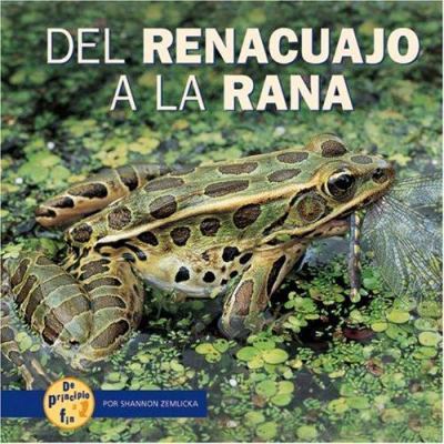 del Renacuajo a la Rana [Spanish] 0822566346 Book Cover