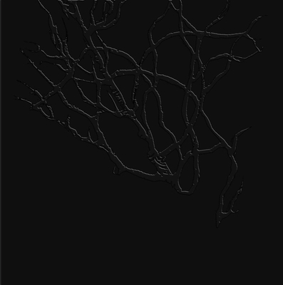 Weeds 0578490056 Book Cover