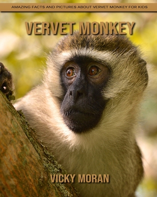 Vervet Monkey: Amazing Facts and Pictures about Vervet Monkey for Kids