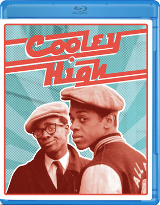 Cooley High            Book Cover