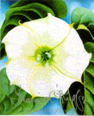 Georgia O'Keeffe: 100 Flowers B0026R24JA Book Cover