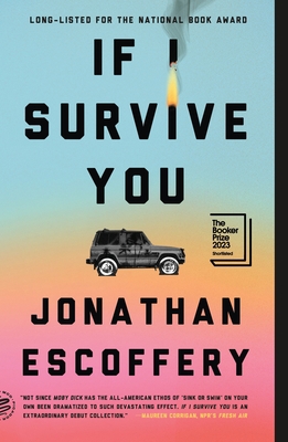 If I Survive You 1250872219 Book Cover