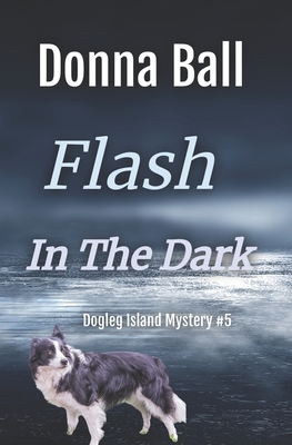 Flash in the Dark 1735127116 Book Cover