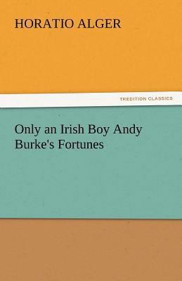 Only an Irish Boy Andy Burke's Fortunes 3842443897 Book Cover