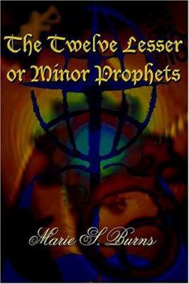 The Twelve Lesser or Minor Prophets 1418439894 Book Cover