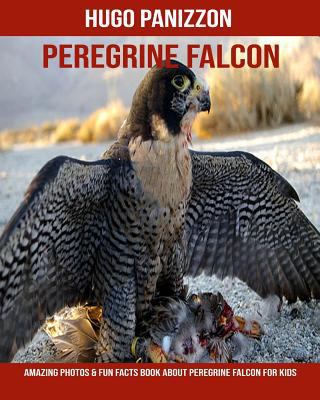 Peregrine Falcon: Amazing Photos & Fun Facts Book about Peregrine Falcon for Kids 1792615957 Book Cover