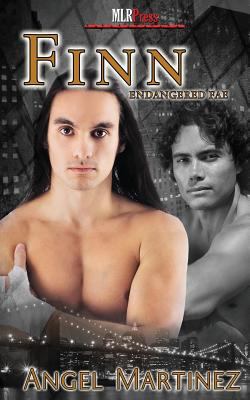 Finn 1608209334 Book Cover