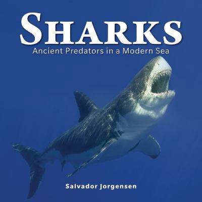 Sharks: Ancient Predators in a Modern Sea 1770852336 Book Cover