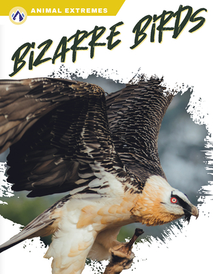 Bizarre Birds 1637385277 Book Cover
