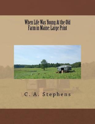 When Life Was Young At the Old Farm in Maine: L... [Large Print] 1725037378 Book Cover