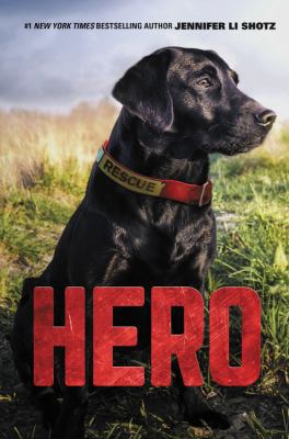 Hero 0062652214 Book Cover