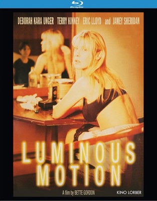 Luminous Motion            Book Cover