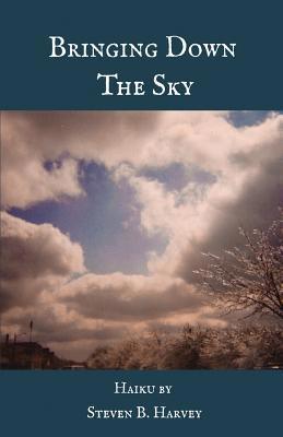 Bringing Down the Sky 1635348625 Book Cover