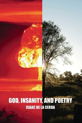God, Insanity, and Poetry B0CX22N65F Book Cover