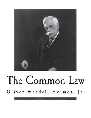 The Common Law 1722991577 Book Cover