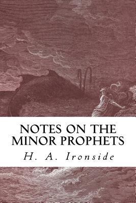 Notes on the Minor Prophets 1530704057 Book Cover