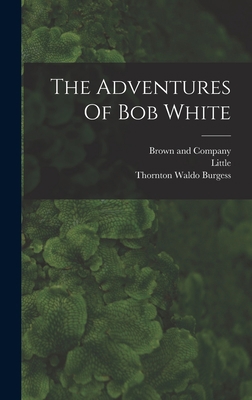 The Adventures Of Bob White 1018704736 Book Cover