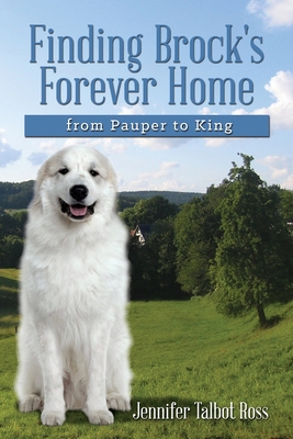 Finding Brock's Forever Home: from Pauper to King 1496130898 Book Cover