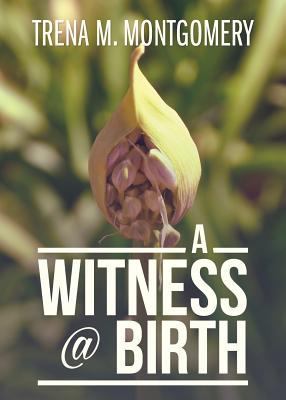 A Witness @ Birth 1683014677 Book Cover