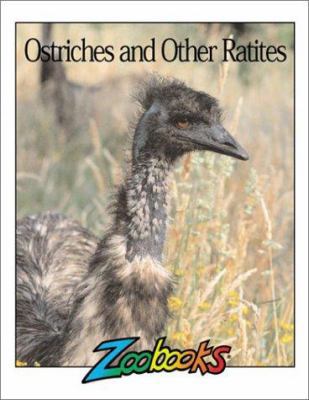 Ostriches and Other Ratites 1888153571 Book Cover