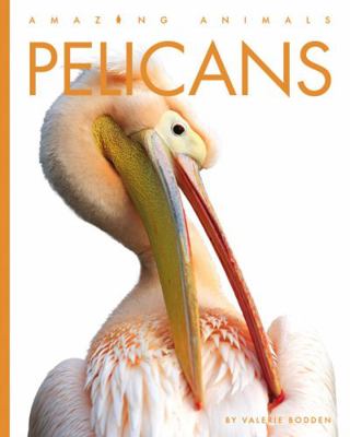 Pelicans 1640265740 Book Cover