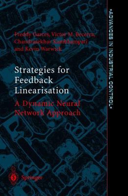 Strategies for Feedback Linearisation: A Dynami... 1852335017 Book Cover