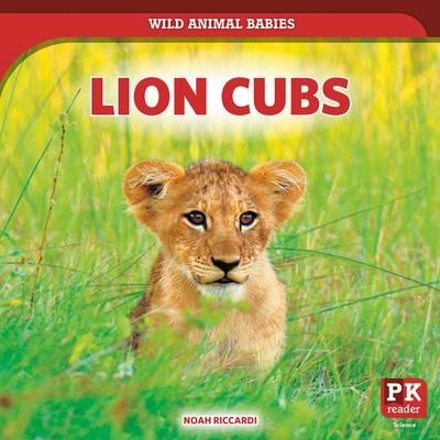 Lion Cubs 1538295490 Book Cover