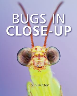 Bugs in Close-Up 1925546500 Book Cover
