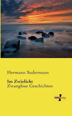 Im Zwielicht: Zwanglose Geschichten [German] 3957381991 Book Cover