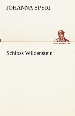 Schloss Wildenstein [German] 384241708X Book Cover