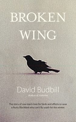 Broken Wing 0996267638 Book Cover