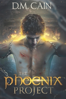 The Phoenix Project: Large Print Edition [Large Print] B08972GPWV Book Cover