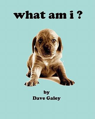 what am i 1890461741 Book Cover