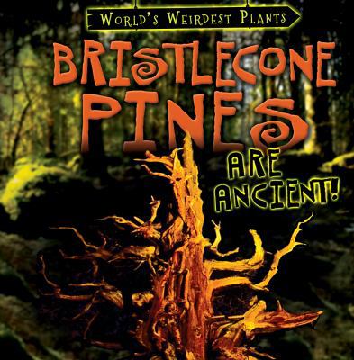 Bristlecone Pines Are Ancient! 148245601X Book Cover