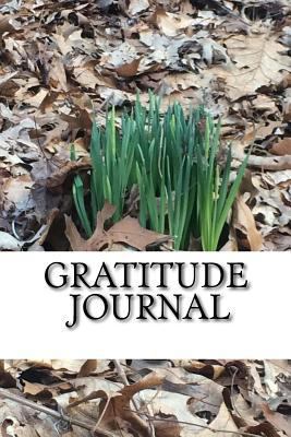 Gratitude Journal: Daffodils 1979348154 Book Cover