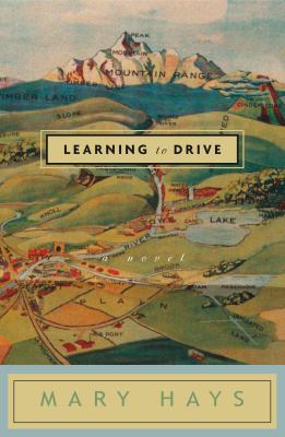 Learning to Drive: A Novel 1400047803 Book Cover