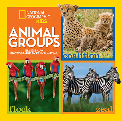 Animal Groups 1426320612 Book Cover