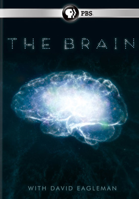 The Brain with David Eagleman Book Cover