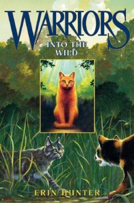 Into the Wild 0061284203 Book Cover