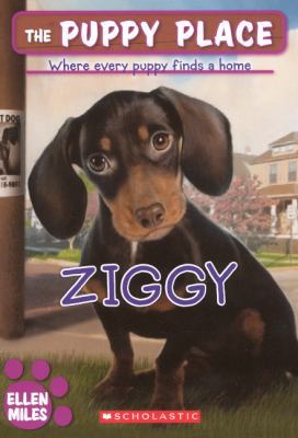 Ziggy 0606227075 Book Cover