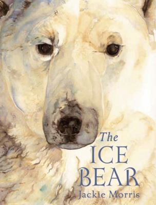 The Ice Bear 1847805485 Book Cover