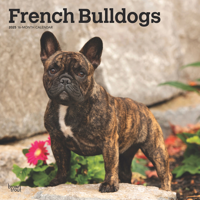 French Bulldogs 2025 12 X 24 Inch Monthly Squar... 1975476980 Book Cover