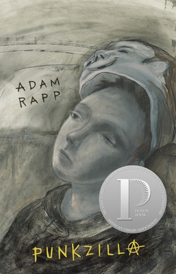 Punkzilla 0763630314 Book Cover