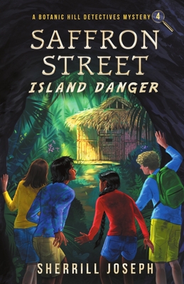 Saffron Street: Island Danger B0BFV4BXWJ Book Cover