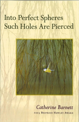 Into Perfect Spheres Such Holes Are Pierced 1882295455 Book Cover