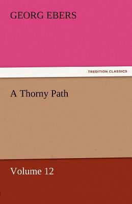 A Thorny Path - Volume 12 384245869X Book Cover