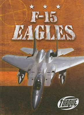 F-15 Eagles 1600142036 Book Cover