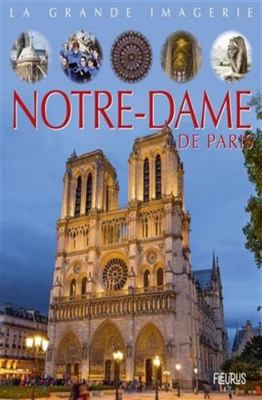 Notre-Dame de Paris [French] 2215172789 Book Cover